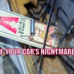 mouse in trap